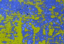 Vuit preguntes per conèixer el moviment sufragista a Anglaterra