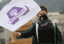 “Els governs post dictadura són els administradors del model dels Chicago boys” – Entrevista a Nina Salinas del Partit Comunista de Xile