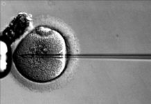 Les clíniques de reproducció humana assistida: l’eina capitalista i patriarcal per al domini de la maternitat