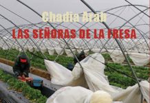 Les senyores de la maduixa: conversa amb Chadia Arab