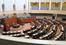 20 anys de la llei orgànica contra la violència de gènere