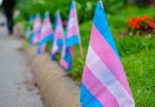 Si ens toquen a una, ens toquen a totes les dones