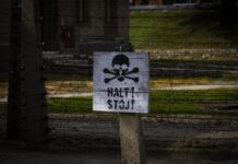 Un repàs a una bibliografia d’actualitat