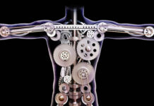 El cos, la màquina, el temps i el treball