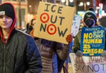 Què puc fer per combatre el feixisme?