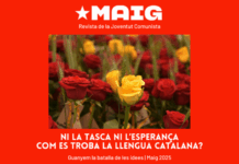 Ni la tasca ni l’esperança: com es troba la llengua catalana?