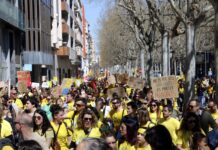 Anàlisi de la mobilització activa a l’educació a Catalunya