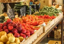 Singulars: el projecte que vol reconstruir la sobirania alimentària de Catalunya des de la logística, la pagesia i el comerç local