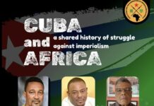 L’Aliança dels Estats del Sahel segueix el mateix camí que Cuba