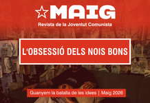 L’obsessió dels nois bons